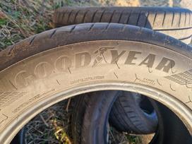 Goodyear Eagle F1 Asymmetric 5, vasarinės 235