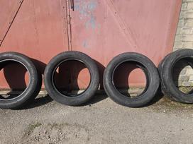 Bridgestone Alenza 001 2022/2020, летние 245/50 R19