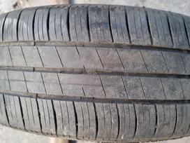Goodyear Eficient Grip Perfomance, vasarinės 205/55 R17
