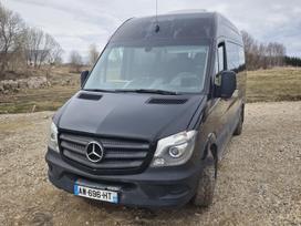 Mercedes-Benz Sprinter319, passenger vans