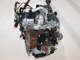 Ford Transit Custom, YMF6, двигатель