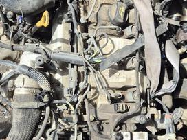 Hyundai Tucson, D4EA, D4ea