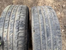 Continental, summer 225/55 R19