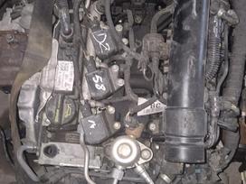 Ford Fiesta Maza rida parsiduoda tik pilnas