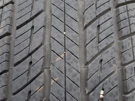Uniroyal Tiger Paw Touring A/S, vasarinės 245/50 R20