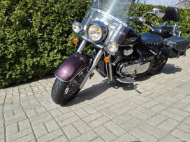 Suzuki VL 805cc, choppers / cruisers / custom