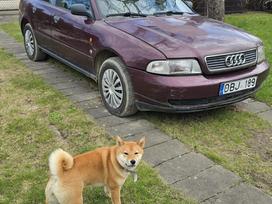 Audi A4, 1.6 l., saloon / sedan