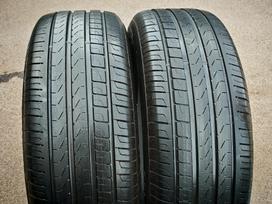 Pirelli, vasarinės 225/55 R19