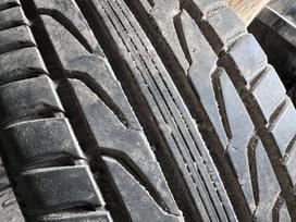 Semperit Speed life 2, summer 205/55 R16