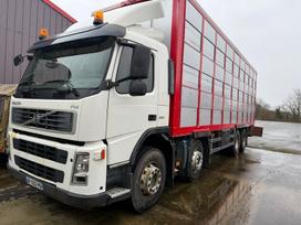 Volvo Fm 380, скотовозы
