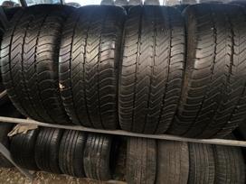 Dunlop, vasarinės 225/55 R17