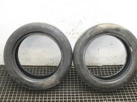 Continental, vasaras 205/55 R17
