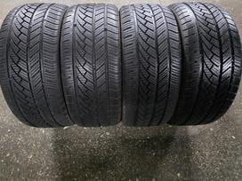 Fortuna, all-season 205/40 R17