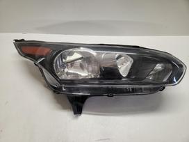 Ford Tourneo Connect, FT11-13W029-DB, gaismas