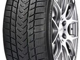 Gripmax Suregrip pro winter, зимние 275/35 R22