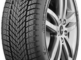 Dunlop WINTER, ziemas 245/40 R19