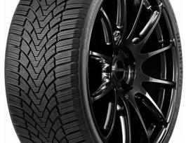 ARIVO ARW 5, winter 225/55 R17