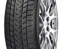 Gripmax Suregrip pro winter, žieminės 285/35 R21