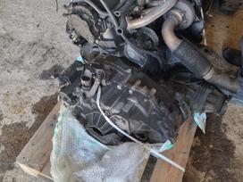 Volkswagen Caravelle, AXE, gearbox, clutch kit