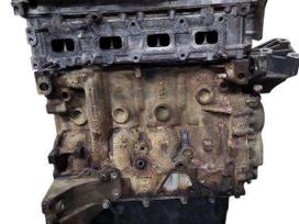 Fiat Ducato, F1AE0481D, variklis