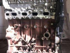 Ford Mondeo, AG9Q, двигатель