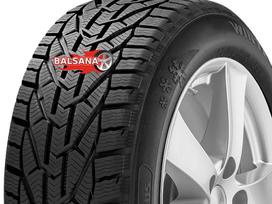 Taurus Taurus Winter (RIM FRINGE PROT, winter 205/55 R16