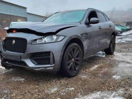 Jaguar F-Pace for parts. Turime daug įvairių markių automobilių ardyme va