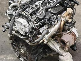 Audi A6, CAH, engine