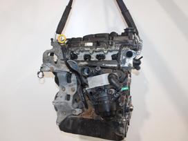 Skoda Octavia, CKF, fuel injection distributor, injection system, engine