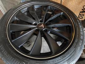 TESLA, light alloy, R19