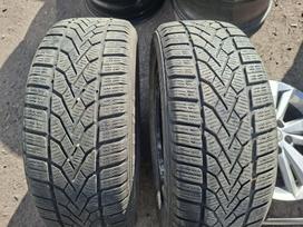 Semperit, vissezonas 185/55 R15
