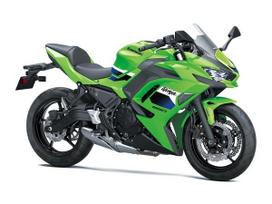 Kawasaki EX 649cc, street / klasikiniai