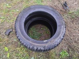 Triangle Triangle SnowLink, winter 215/55 R16