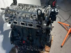 Nissan Navara, Ys23d276, двигатель
