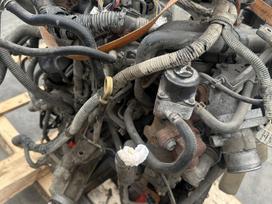 Nissan Pathfinder, Yd25 7s110, variklio detalės