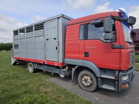 MAN TGL 10.240, livestock trucks