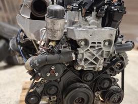 Land Rover Evoque, 204DTD, engine