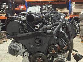 Land Rover Discovery, 306DT, двигатель