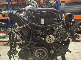 Nissan Navara, YS23DDT, engine