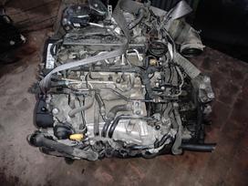 Volkswagen Golf Tik variklis ir deze