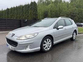 Peugeot 407 dalimis. Pradedamas ardyti