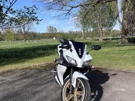 Yamaha YZF 125cc, superbikes