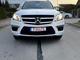 Mercedes-benz Gl450, 4.5 l., visureigis /