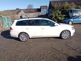 Volkswagen Passat dalimis