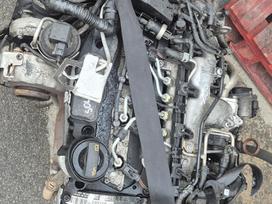 Volkswagen Golf Plus, CBD