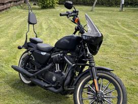 Harley-davidson 883, čioperiai / kruizeriai /