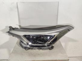 Toyota C-HR, 81170F428100, lights