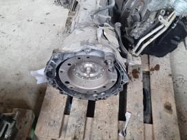 Volkswagen Amarok, SZG, differential, gearbox