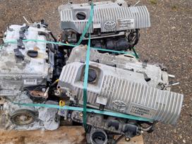 Toyota Auris engine
