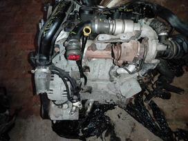 Ford Tourneo Connect Tik variklis ir deze